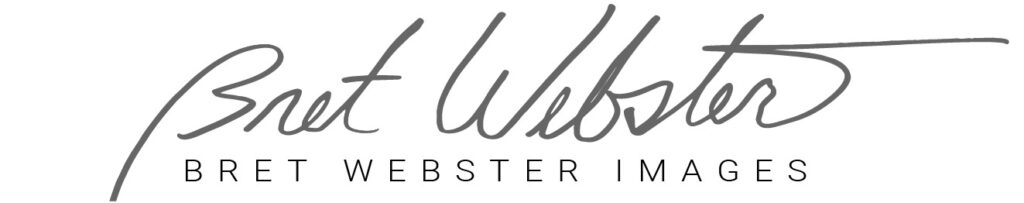 BWI logo and email signature-05